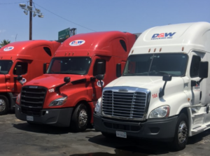 DW Trucking Trucks Lined Up