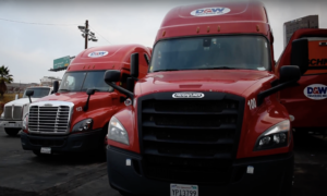 D&W Trucking Lined Up